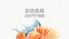 飘逸鱼尾装饰PPT模板