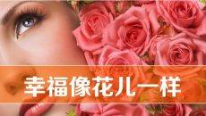 什么是幸福追求幸福感悟PPT模板