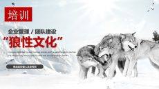企业文化狼性精神培训PPT课件模板