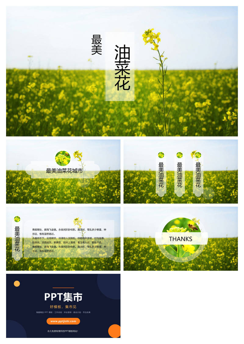 唯美油菜花田风景PPT模板