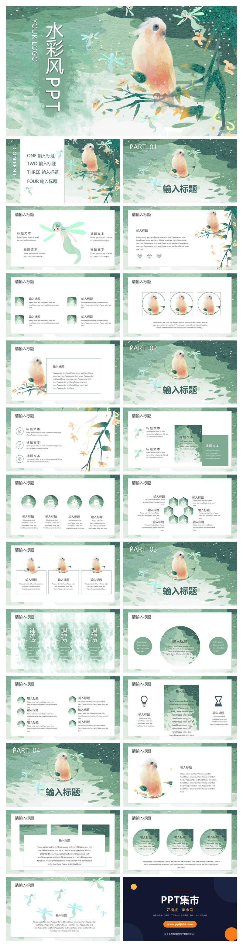 插画风森系水彩鹦鹉PPT模板