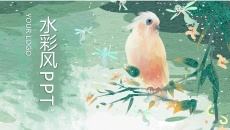 插画风森系水彩鹦鹉PPT模板