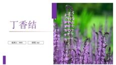 丁香结PPT课件_人教版六年级上册语文《丁香结》教学课件下载